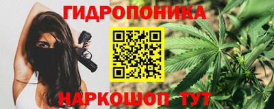 гидра Берёзовский