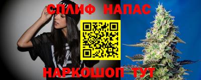 гидра Берёзовский