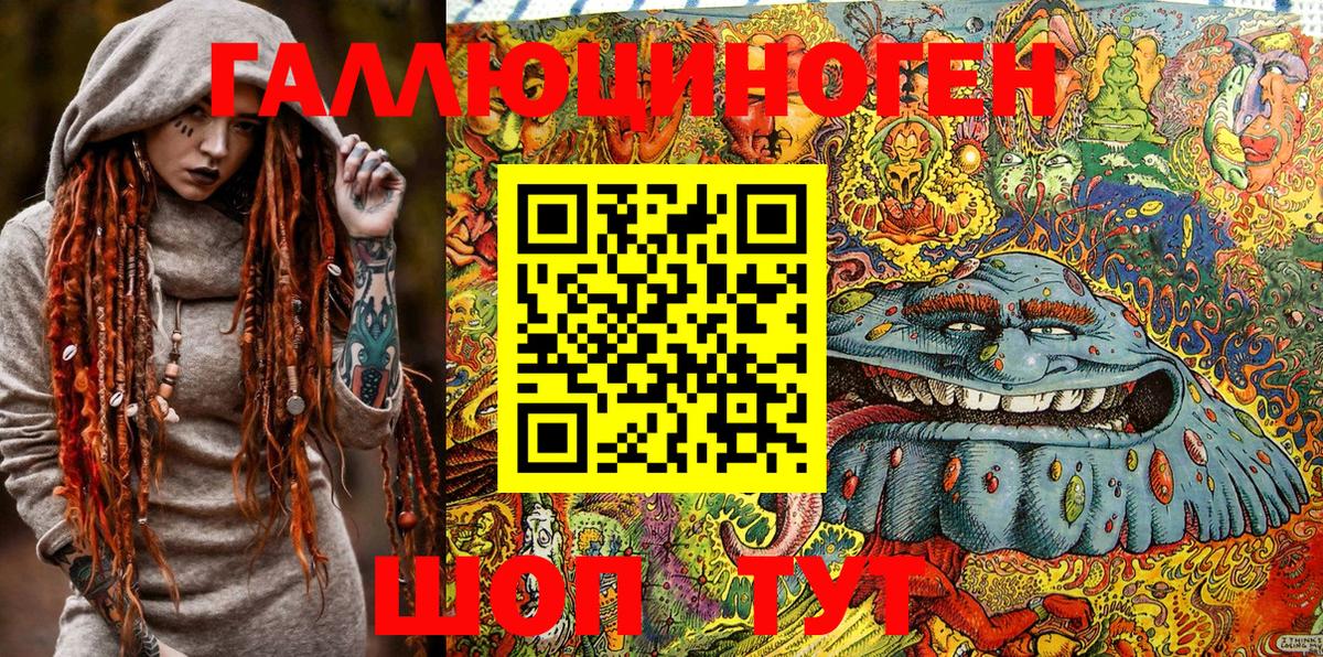 Псилоцибиновые грибы Psilocybine cubensis Клинцы