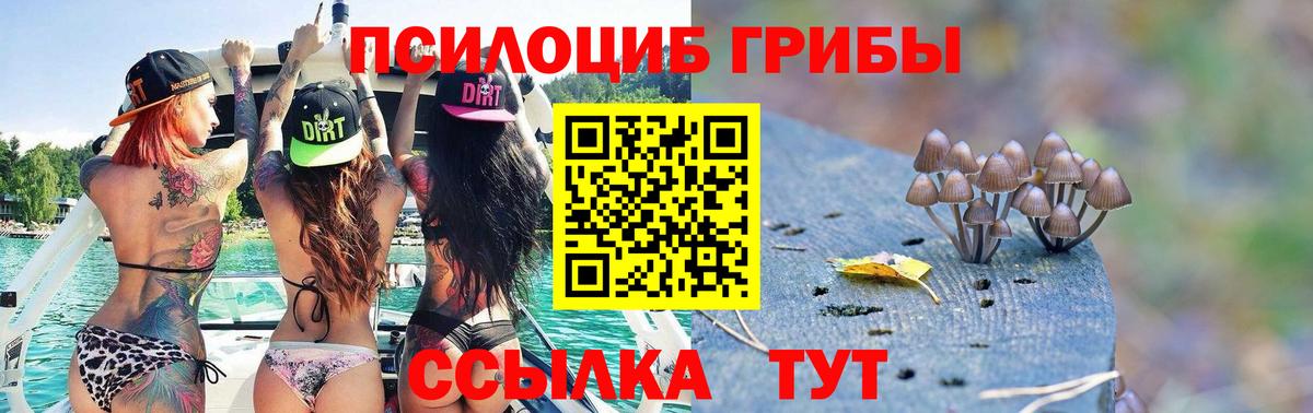 Псилоцибиновые грибы мухоморы  Вход с VPN  Клинцы 